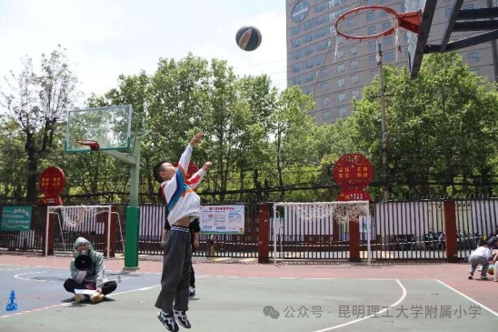 篮球训练计划表控球怎么写_1